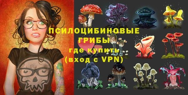 гашиш Заводоуковск