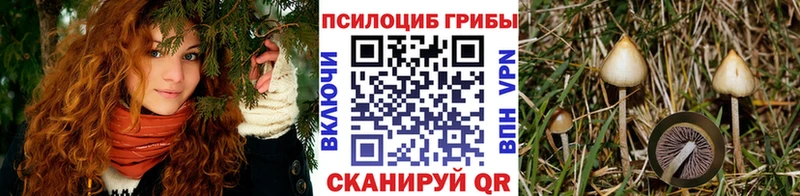 Купить закладки  Короча  Галлюциногенные грибы мухоморы 